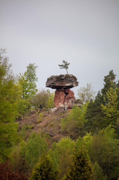 Уникальные природные формирования