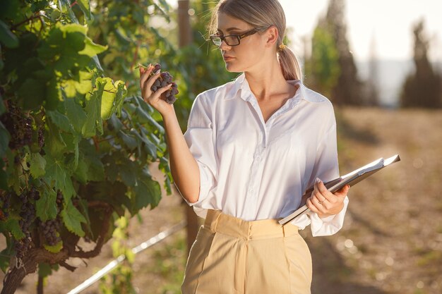 Как выбрать лучший винный тур?