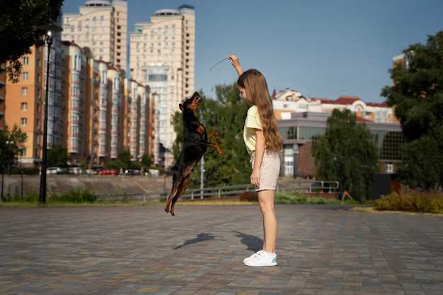 Спортивные площадки для активного отдыха