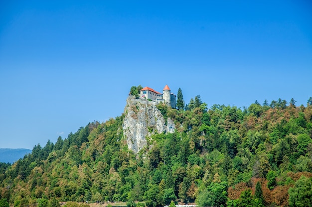 Кулинарные традиции региона