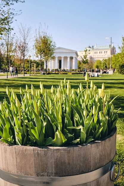 Культурные достопримечательности региона