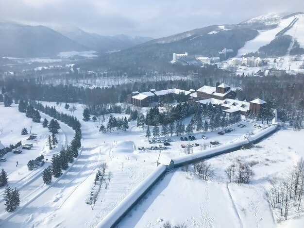 Способы передвижения по стране